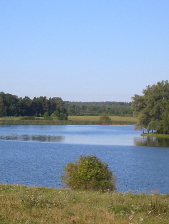 Blick über den Wanzkaer See